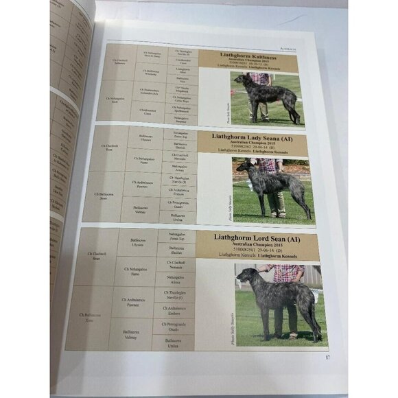 The World of Deerhounds in the New Millennium 2000-2015 Kay Barret RARE HTF BOOK - Picture 7 of 10